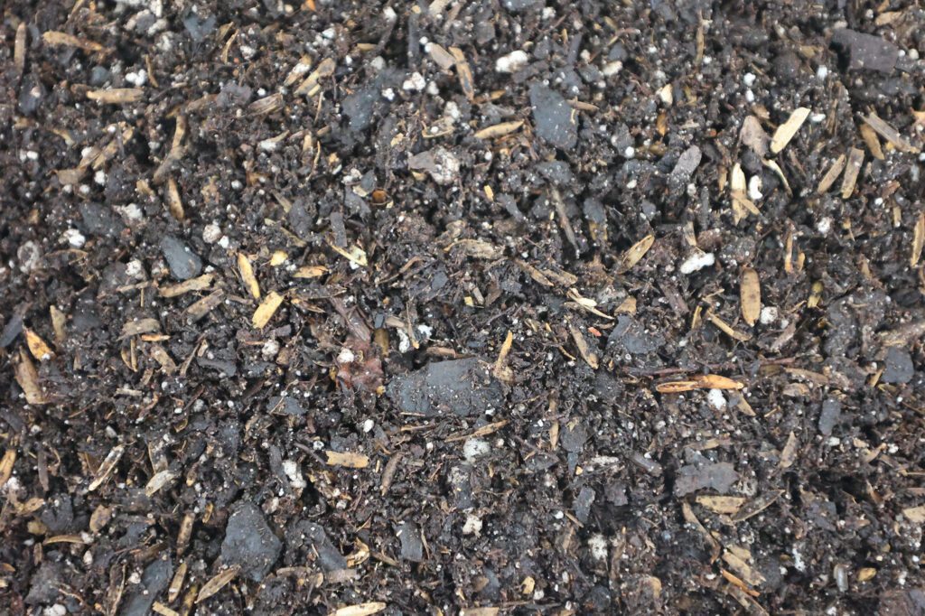 Hsu Perennial Mix soil blend bag for long-term plant health