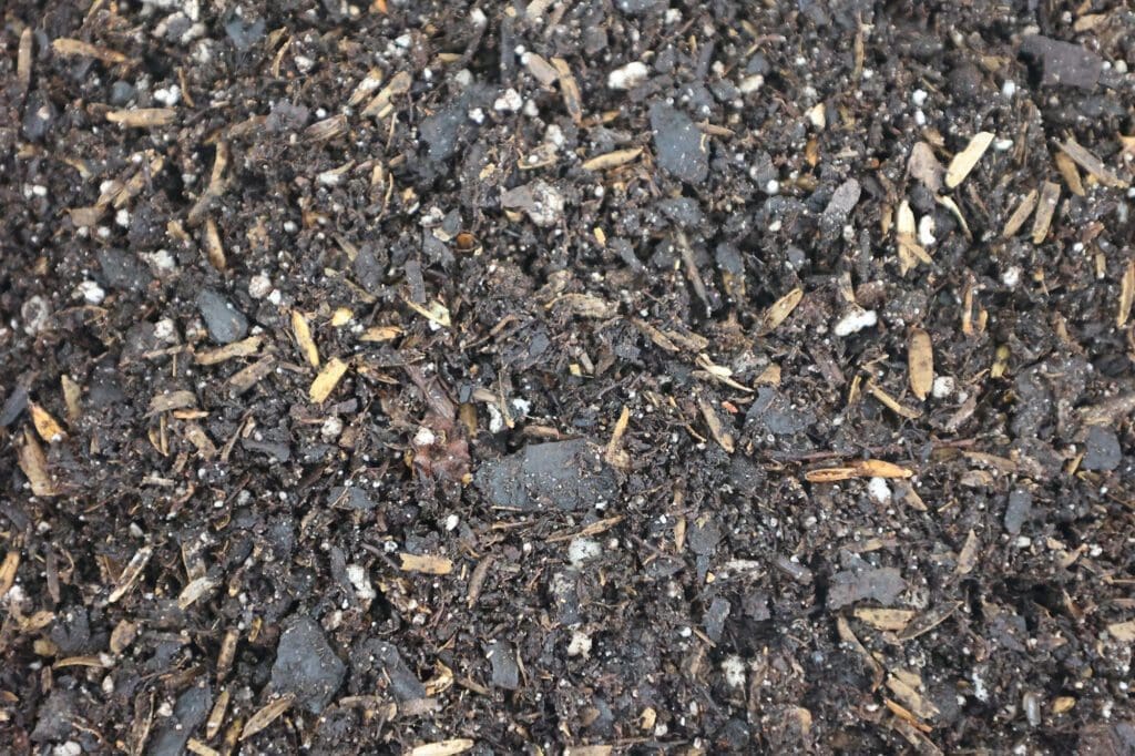 Hsu Perennial Mix soil blend bag for long-term plant health