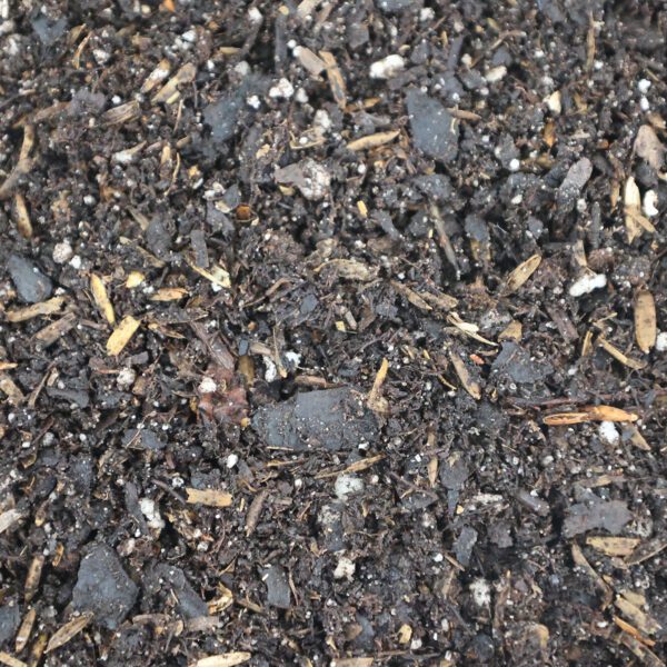 Hsu Perennial Mix soil blend bag for long-term plant health