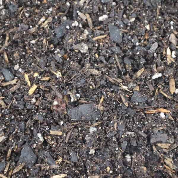Hsu Perennial Mix soil blend bag for long-term plant health