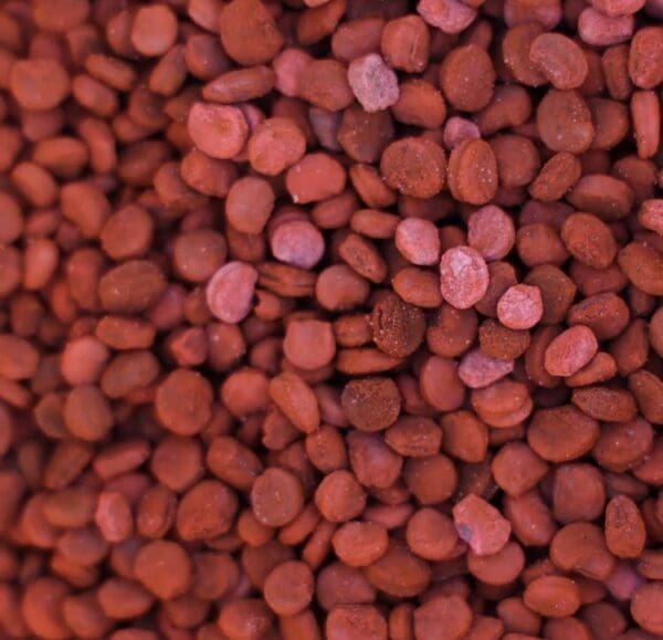 Ginseng Seed