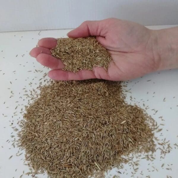 Hsu Contractor Grass Seed - 50lb Bag - Image 2