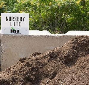 Hsu Nursery Light