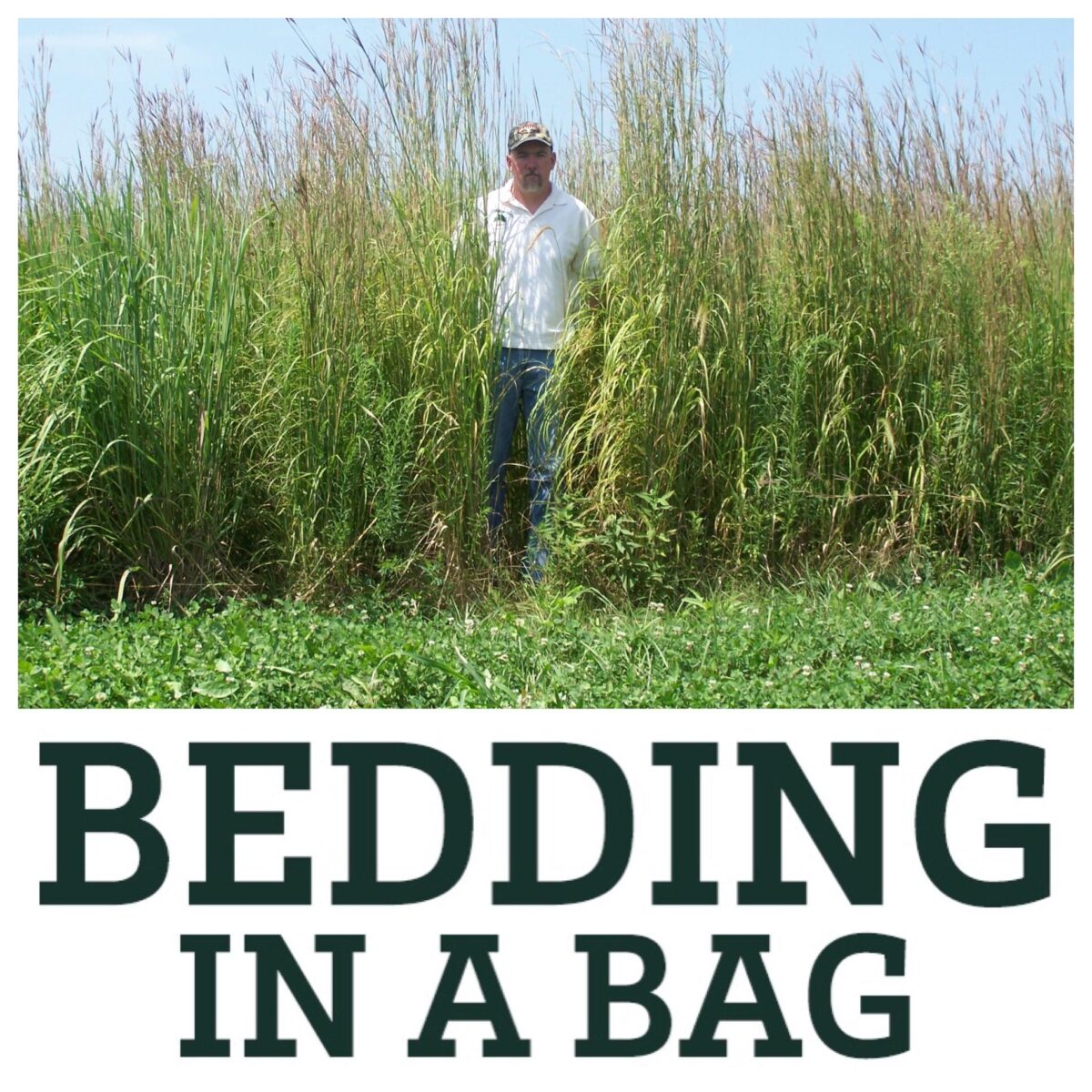 RWWP Bedding-in-a-Bag - 6 lb bag - Image 2