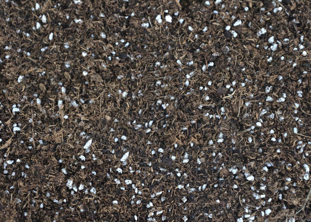 Close-up of Hsu Transplant Mix showing a coarse, well-draining soil texture