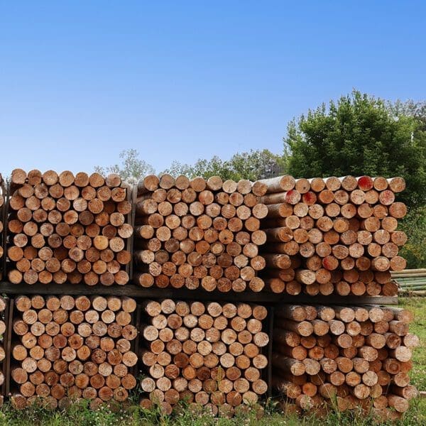 Non-treated cedar post perfect for outdoor projects.