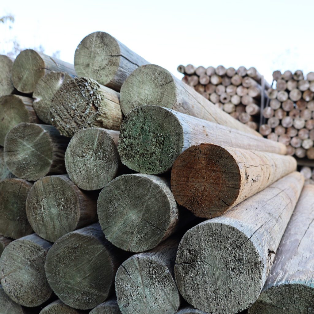 Green treated cedar posts with enhanced durability, ideal for outdoor projects like fencing, landscaping, and garden structures.