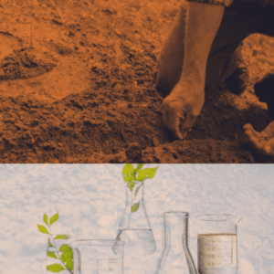 Garden soil test