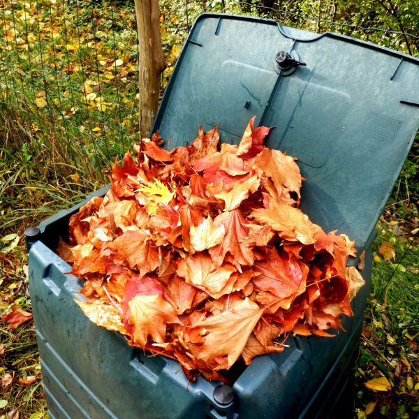 Fall / Autumn Leaf Recycling Program