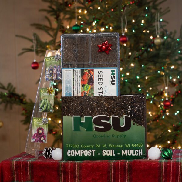 Seed starter kit with tray, dome, and seed packets.