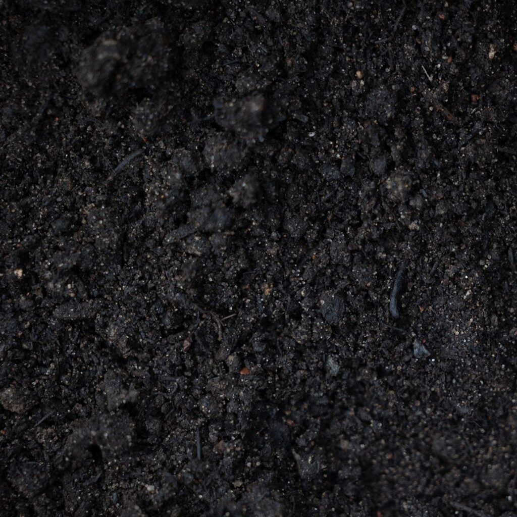 Leaf compost made from 100% Wisconsin tree leaves improving garden soil structure and moisture retention