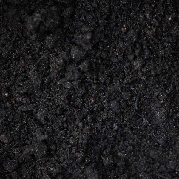 Leaf compost made from 100% Wisconsin tree leaves improving garden soil structure and moisture retention