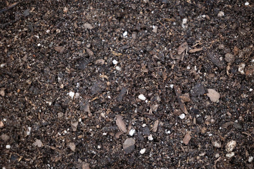 Perennial Mix soil supporting blooming flowers in a garden bed, showing rich organic texture and healthy plant growth.