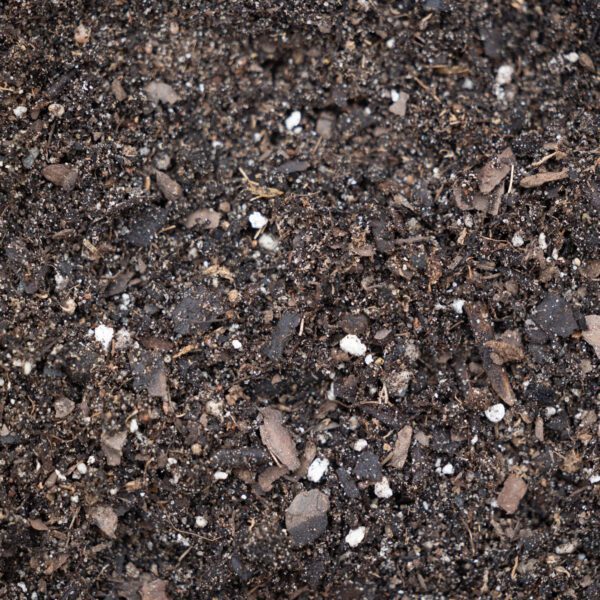 Perennial Mix soil supporting blooming flowers in a garden bed, showing rich organic texture and healthy plant growth.