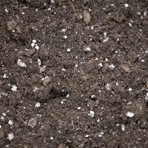 Professional Potting Soil in use for container gardening, showing healthy potted plants and rich, aerated soil mix.