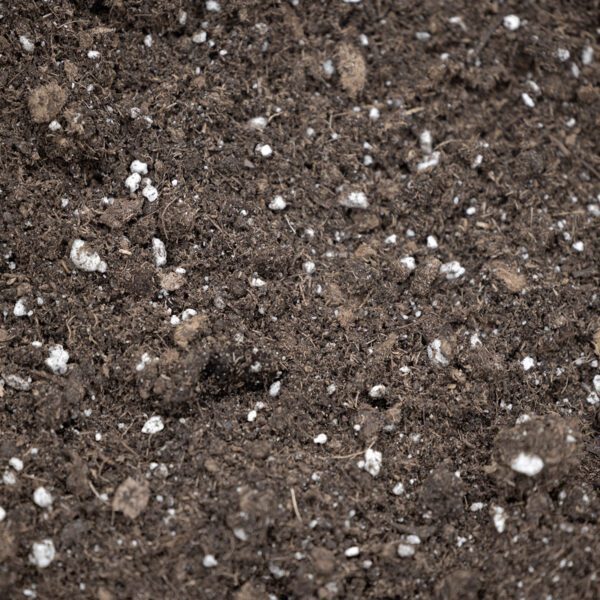 Professional Potting Soil in use for container gardening, showing healthy potted plants and rich, aerated soil mix.