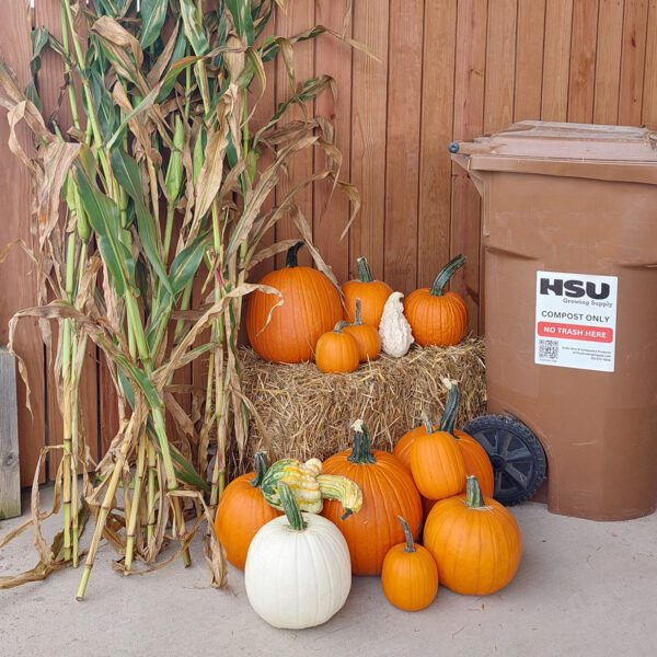 Large fall bundle with pumpkins, gourds, corn stalks, and hay