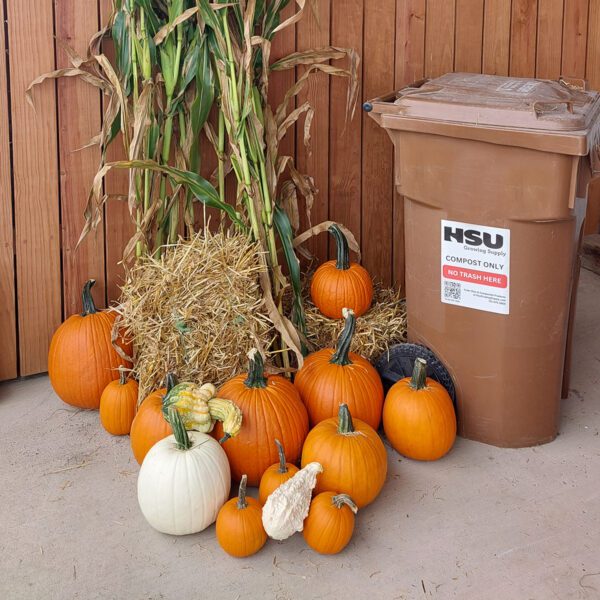 Small fall bundle with pumpkins, corn stalks, and gourds