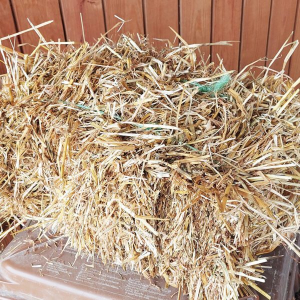 Small hay bales for fall decorating and displays