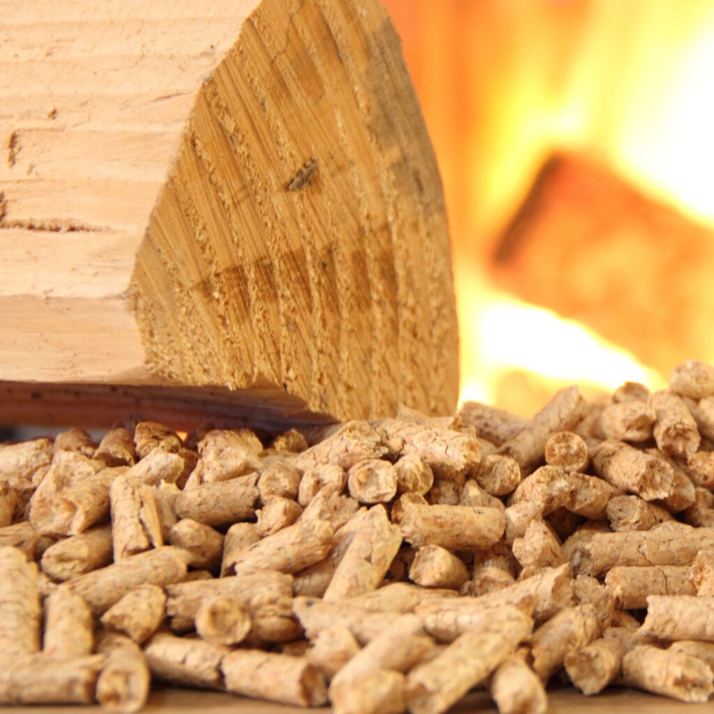 Wood